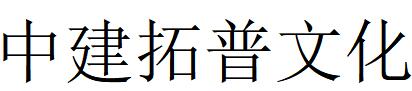 （湖北）武昌 中建拓普文化